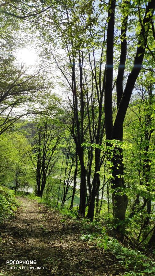 Smaragd River Near Rastoke & Plitvice Lakes Slunj Exterior foto